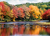 autumn pond above southford falls