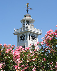 clock tower seen from rose garden at boothe memorial park