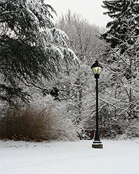 lamppost and snowy trees